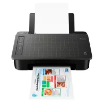 Принтер Canon PIXMA TS304 фото 2
